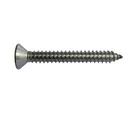 Parafuso Inox Aut Atarr Ca Cha Ct05Pcs 48x38
