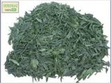 Lasca Decorativa Pneu 5Kg Verde