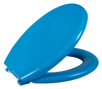 Assento Sanitrio Almofadado Tradicional Blueberry