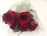 Rosa Flor Corte Planta Natural