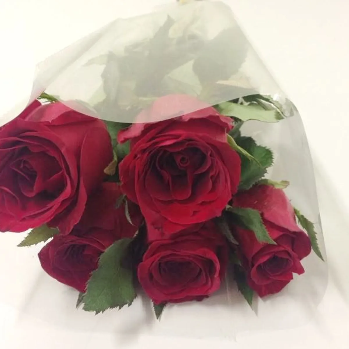 Rosa Flor Corte Planta Natural, marca Timlog - Foto Principal