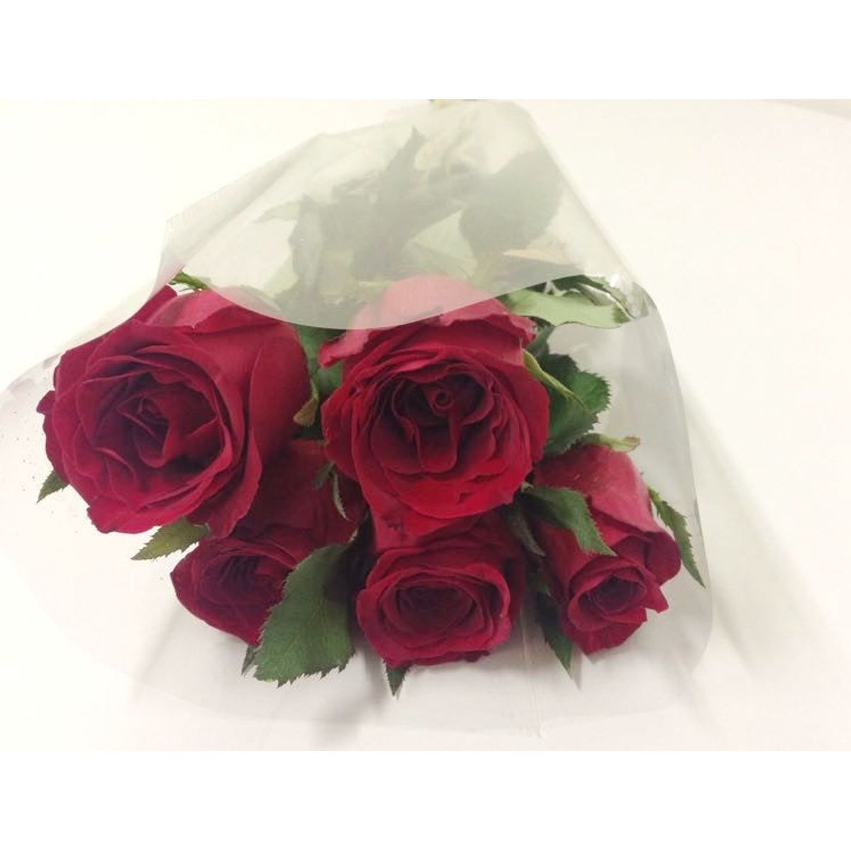 Rosa Flor Corte Planta Natural, marca Timlog - Foto Principal