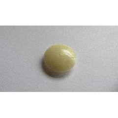 Tampinha Parafuso Com 10 Peças, Marfim