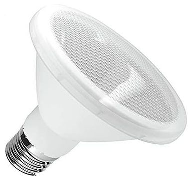Lmpada LED PAR38 Luz Branca IP65 15W 6000K Bivolt 