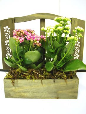 Arranjo para Janela Jardineira de Madeira