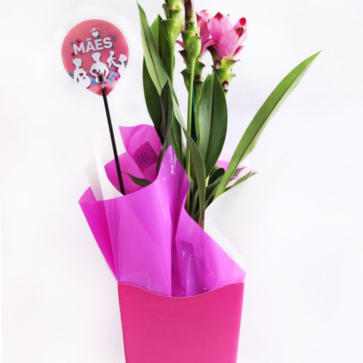 Curcuma Pote 15, marca Veiling Holambra - Foto 2