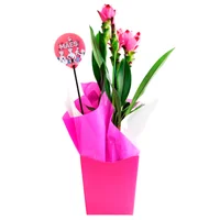 Curcuma Pote 15