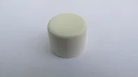 Ponteira Externa 3/4" 10 Peças Branco
