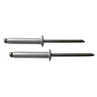 Rebites de Alumínio 5x19mm 10 Peças Cromado