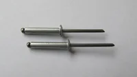 Rebite de Alumínio 5x8mm 200 Peças Cromado