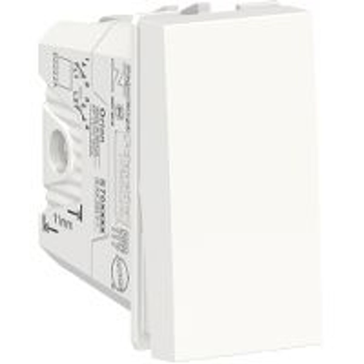 Módulo Interruptor Bipolar 10A Orion Branca, marca Schneider - Foto Principal
