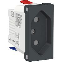 Mdulo Tomada 10A Orion Grafite Bivolt