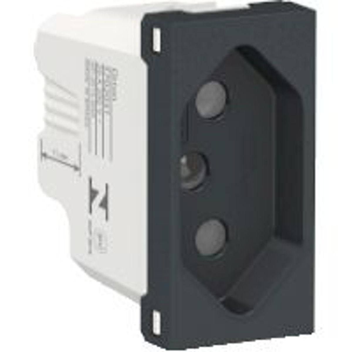 Módulo Tomada 10A Orion Grafite Bivolt, marca Schneider - Foto 2