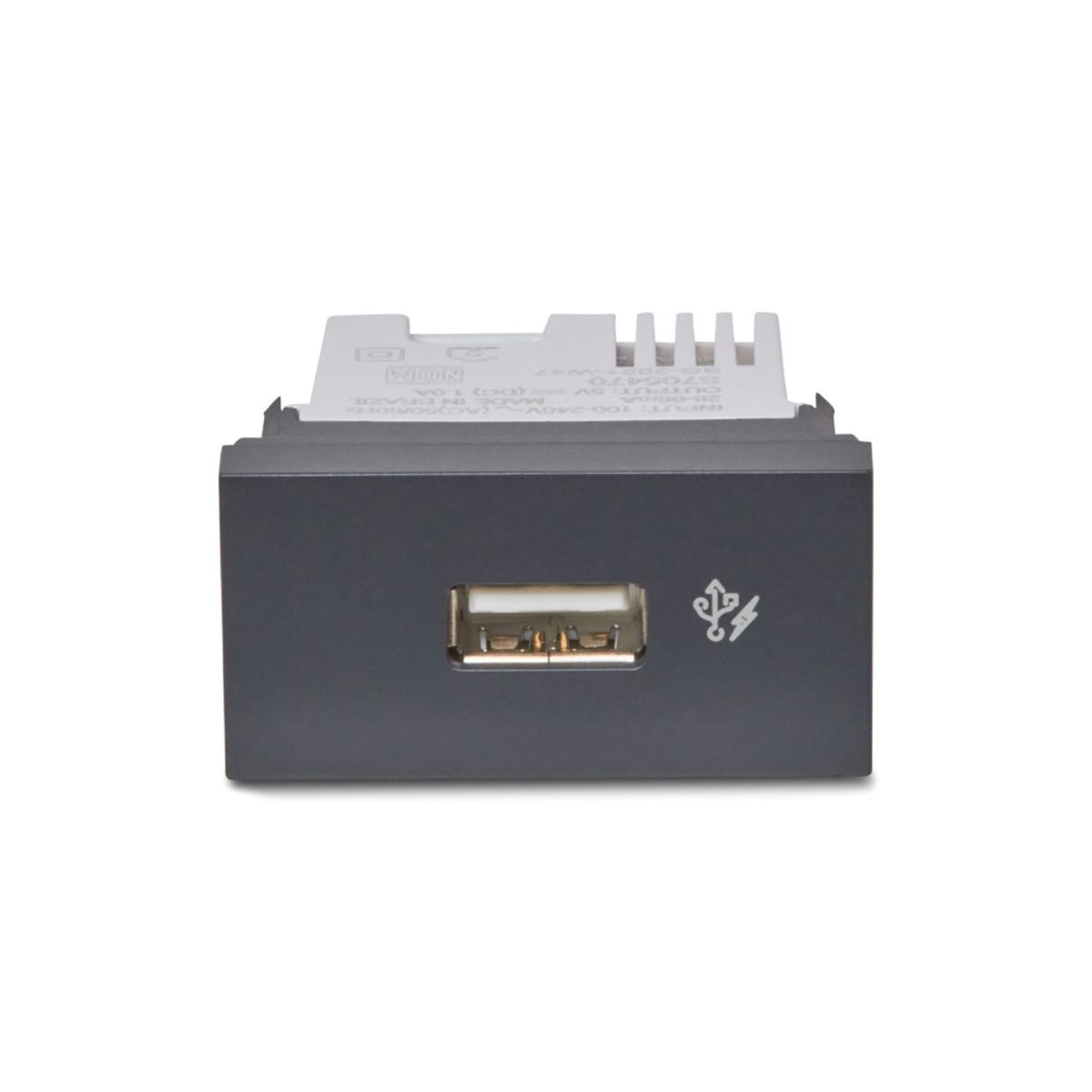 Módulo Carregador Usb 1A Orion Grafite Bivolt, marca Schneider - Foto Principal