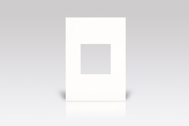Placa Arteor White 4X2 2 Postos