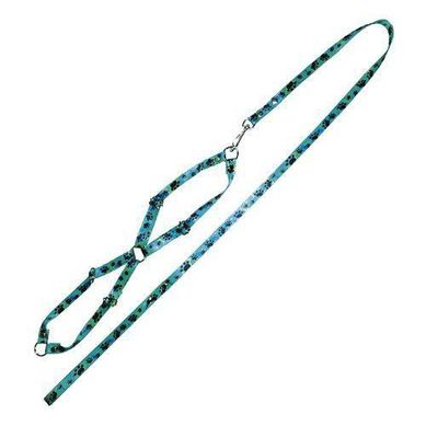 Conjunto Guia Seda com Peitoral Ajustvel n2 Colorido 