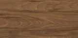 Porcelanato HD Organic Castanho 50x101cm Caixa 1,51m² Esmaltado Polido Retificado Marrom