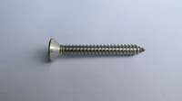 Parafuso 4,8x32mm Cabeça Chata Rosca Auto Atarraxante Zincado 200 Peças