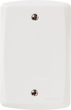 Placa Cega Lux2 Branca 4X2