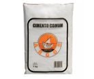 Cimento Comum 1kg Cinza