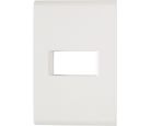 Placa Liz Branca 4X2 1 Posto