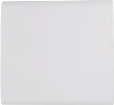 Placa Cega Liz Branca 4X4