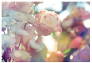 Quadro Flores 70x100cm