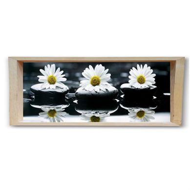 Quadro Moldura Cofre Margaridas 20x50cm