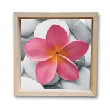 Quadro Moldura Cofre Flor Rosa II 30x30cm