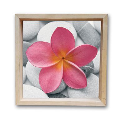Quadro Moldura Cofre Flor Rosa II 30x30cm