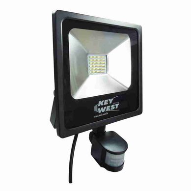 Refletor Holofote 30W Slim com Sensor Branco Frio Bivolt Dani Condutores