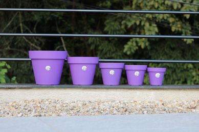Vaso Bari 12 Violeta