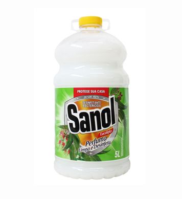 Desinfetante de Eucalipto e Hortel 5L Branco