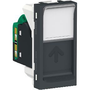 Mdulo Informtica Rj45 Cat5E Orion Grafite