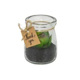 Mini Vaso Vidro Plastico Mahogany 5,72x5,72x6,9cm Verde