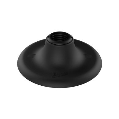 Plafon Economic E27 60W Bivolt Preto  