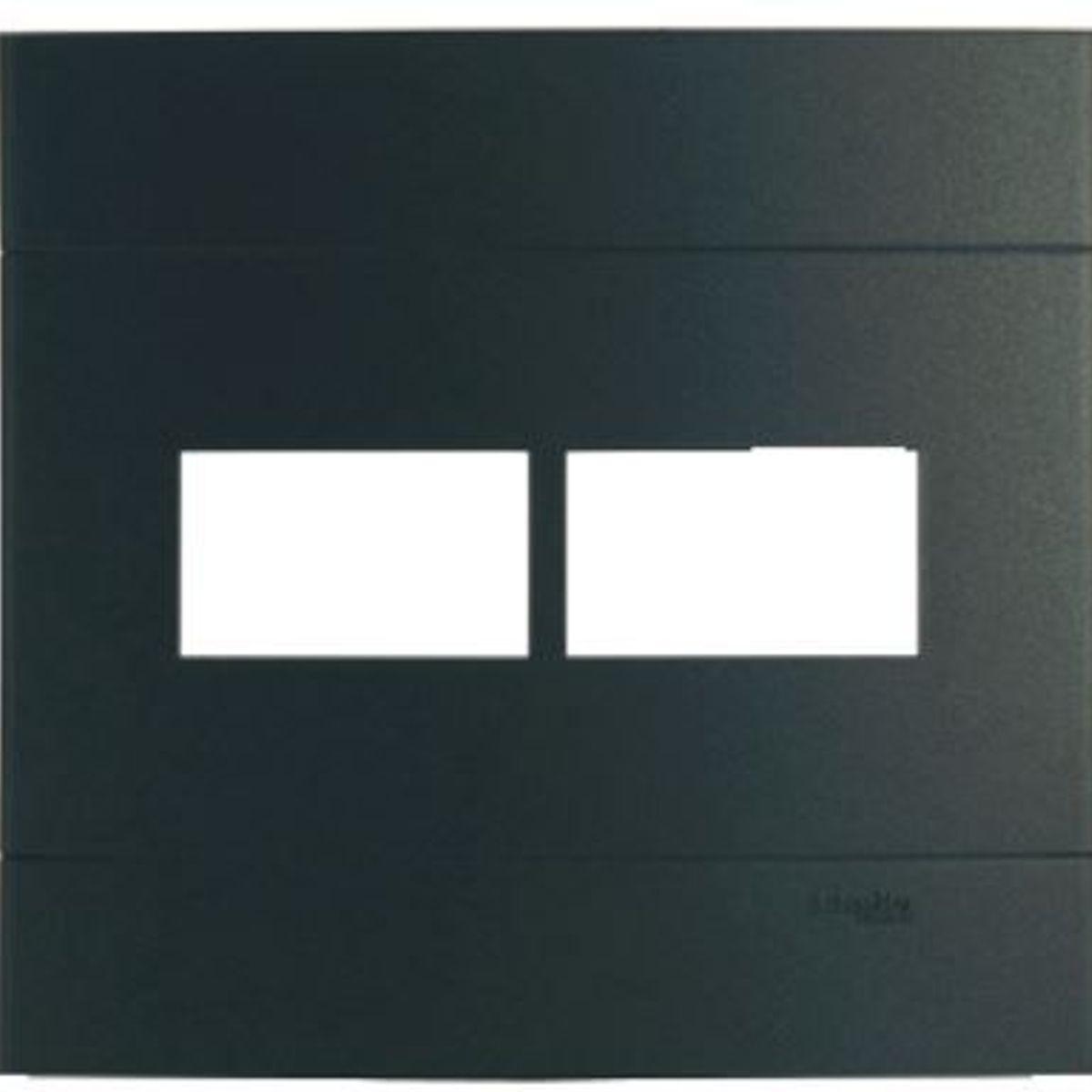 Placa Decor Onix 4X4 2 Postos, marca Schneider - Foto Principal