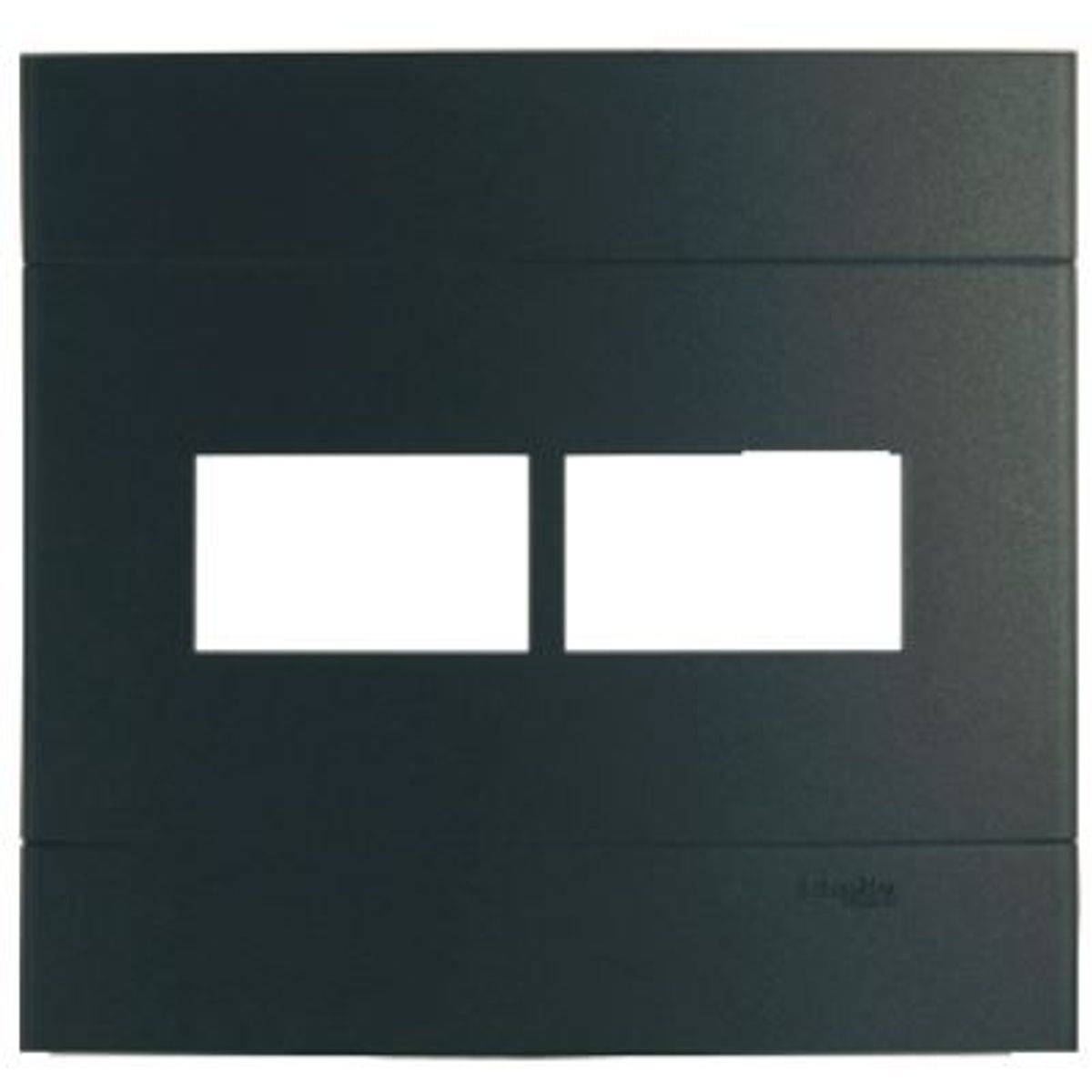 Placa Decor Onix 4X4 2 Postos, marca Schneider - Foto Principal