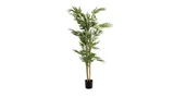 Palmeira Areca Bambu Dypsis Lutescens Planta Natural