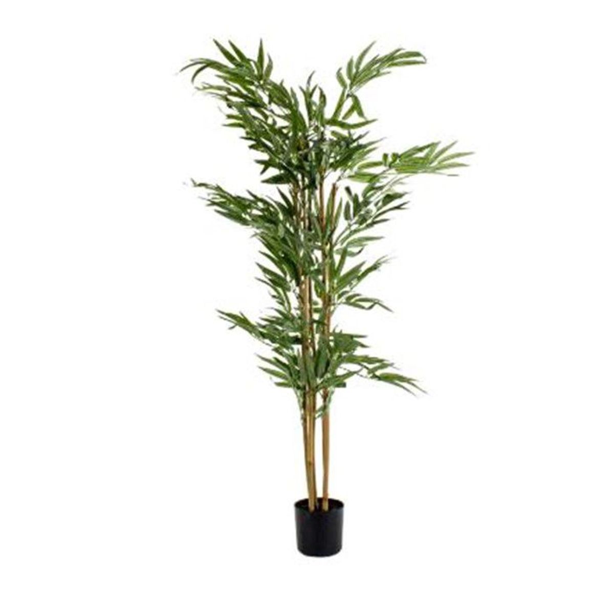 Palmeira Areca Bambu Dypsis Lutescens Planta Natural, marca Timlog - Foto Principal