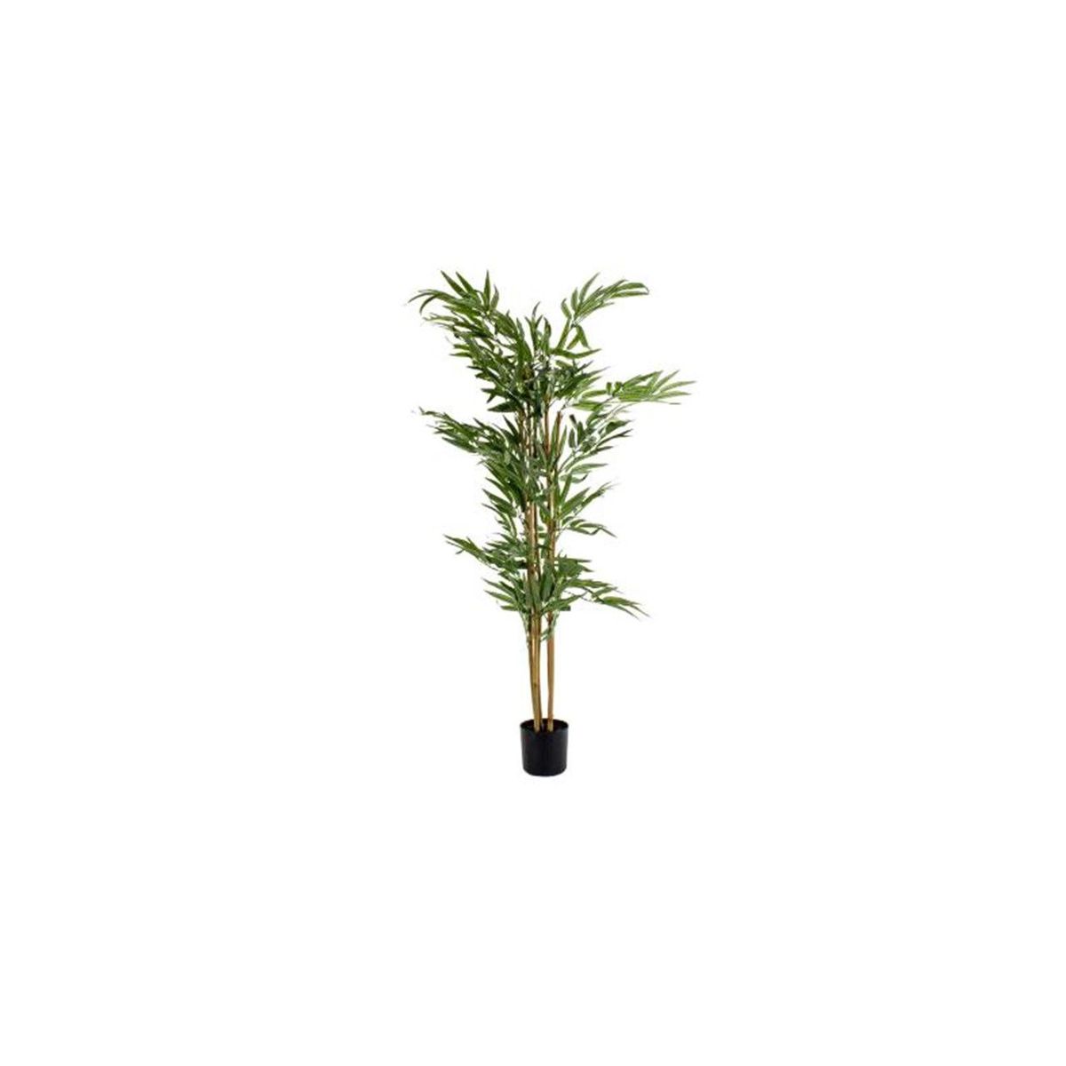 Palmeira Areca Bambu Dypsis Lutescens Planta Natural, marca Timlog - Foto Principal