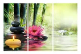 Quadro Trio Impressão Digital Jardim Japonês Pedras Pretas 100x150cm Colorido