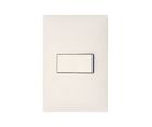 Conjunto Interruptor Simples 4X2 10A Pialplus+ Branco