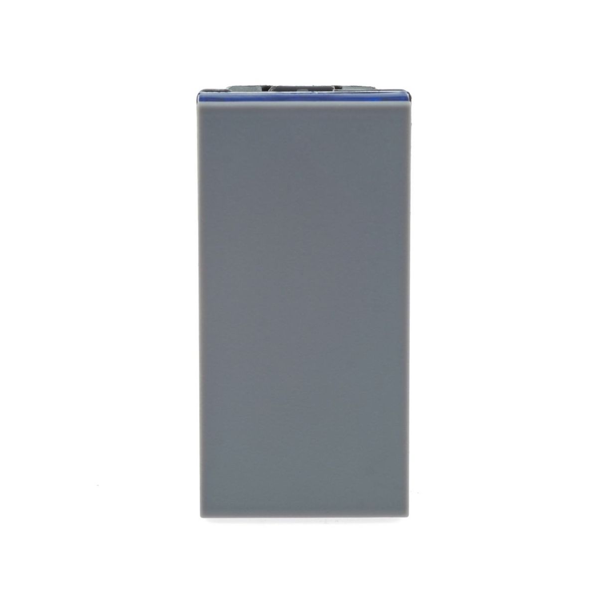 Módulo Interruptor 10A Pialplus+ Cinza Bivolt, marca Legrand - Foto Principal