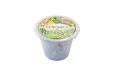 Vaso de Alumínio Grande Citronela Branco