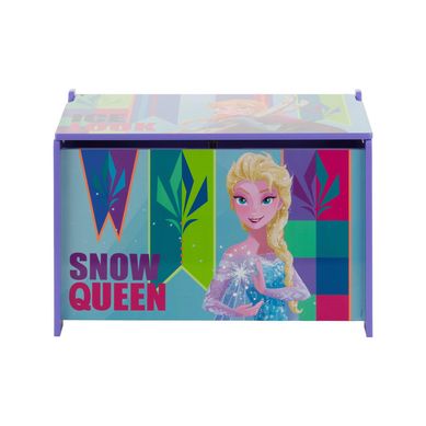 Ba Organizador Frozen 60x36cm