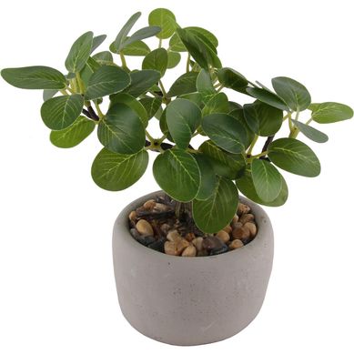 rvore Bonsai 3091028 19cm