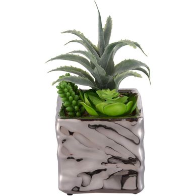 Suculenta 502417A com Vaso 17cm