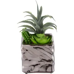 Suculenta 502417A com Vaso 17cm