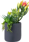 Suculenta Artificial com vaso 30cm